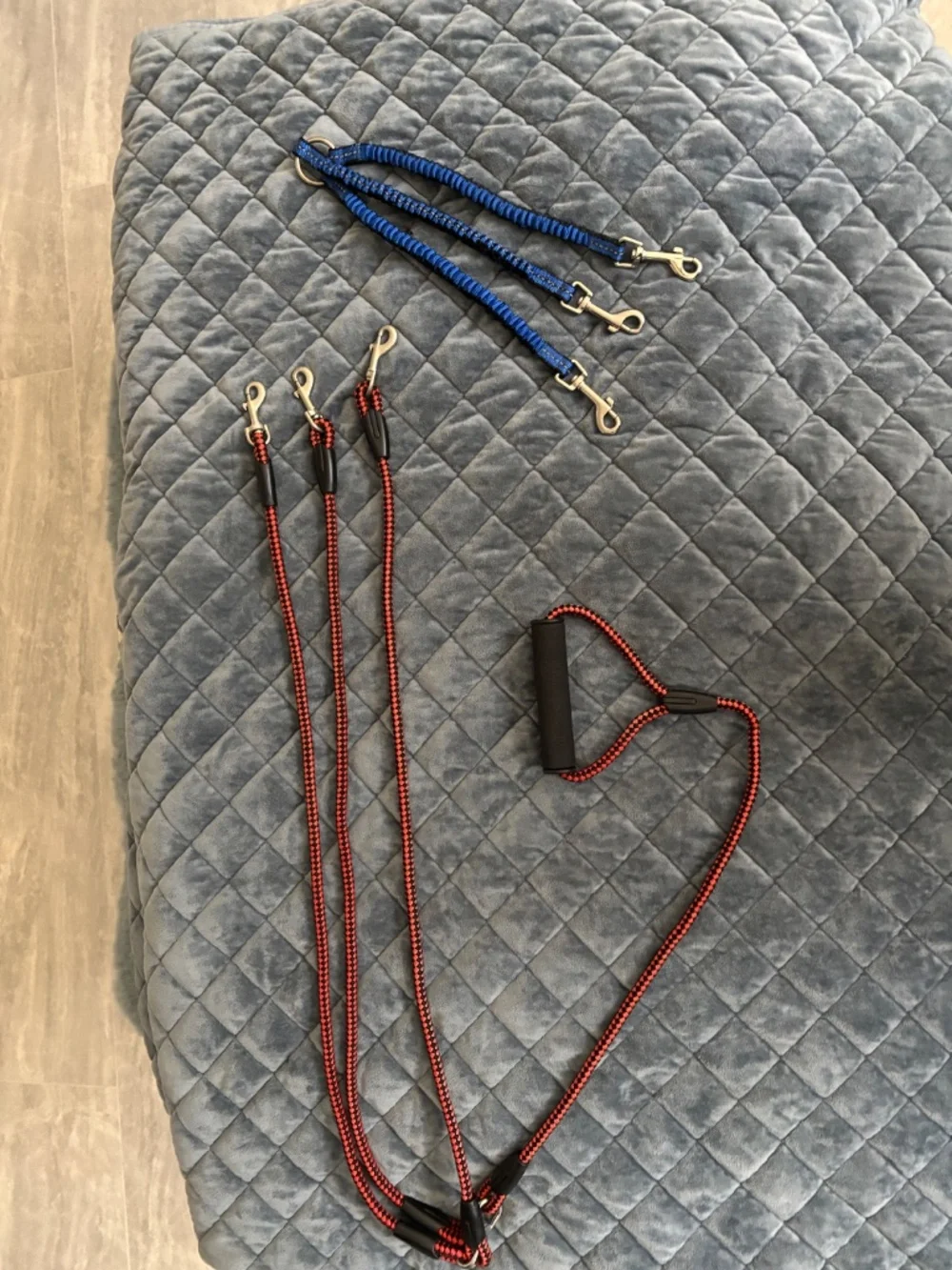 N/A adjustable dog